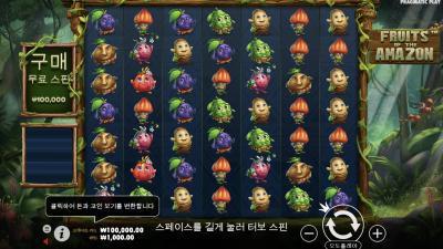 아마존의 과일
