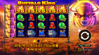 버팔로 킹