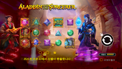 알라딘과 마법사