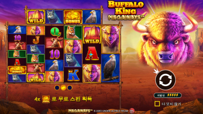 버팔로 킹 메가웨이즈